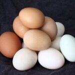 rotten eggs rotten eggs